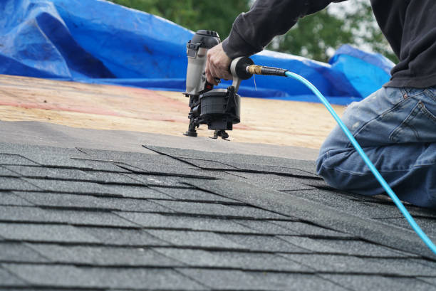 Best Roof Gutter Cleaning  in Douglas, GA